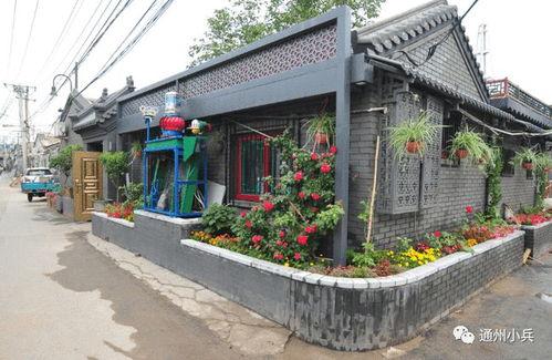 胡桃新皮肤最新爆料2025,惊艳亮相，引领潮流新风尚