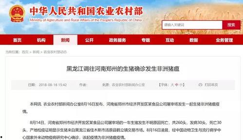 最新江苏爆料消息新闻,揭秘神秘事件背后的真相